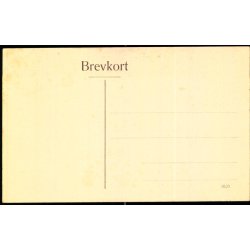 Parti fra Djeld - 3523 - Ubrugt