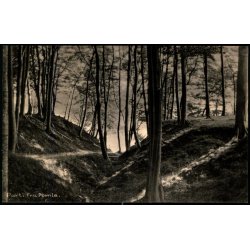 Parti fra Pomle - Bregninge K�bmandshandel  99595 - Ubrugt