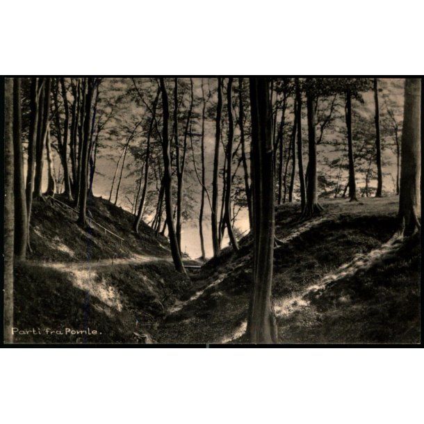 Parti fra Pomle - Bregninge K�bmandshandel  99595 - Ubrugt