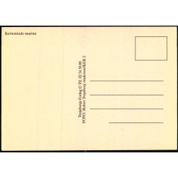 Kerteminde Marina - Trojaborg KER 2 - Ubrugt