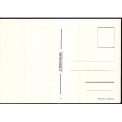 Bakken - Dyrehavsbakken -  4 - Ubrugt