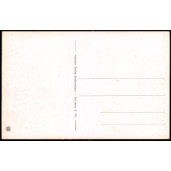 Falster - Parti fra Ulslev Strand - Stenders Forlag N. 193 - Ubrugt