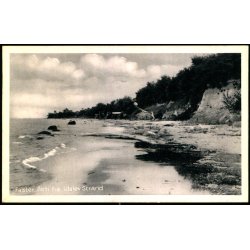 Falster - Parti fra Ulslev Strand - Stenders Forlag N. 193 - Ubrugt