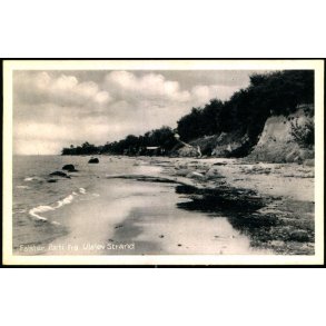 Falster - Parti fra Ulslev Strand - Stenders Forlag N. 193 - Ubrugt