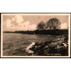 Parti fra Lundeborg - H. Andr. Hansen 57293 - Brugt