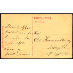 Parti fra Skibelund krat - Stender 29436  - Ubrugt