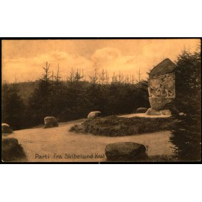 Parti fra Skibelund krat - Stender 29436  - Ubrugt