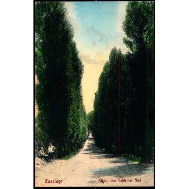 Taasinge - Allen ved Valdemar Slot - W.K.F. 1048 - Brugt