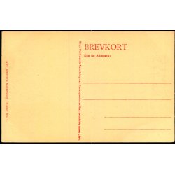 C. Bayer - Bredgade med Marmorkirken - Alex Vincent 1