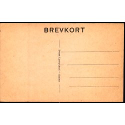 Rodsn�s - Dansk Lystrykkeri u/n - Ubrugt