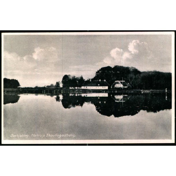 Saxk�bing - Mattrup Skovfoedbolig - Thaarning Steffensens Bogh. 83492 - Ubrugt