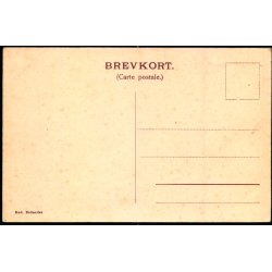 Bjerridsgaard (Lolland) - Danske Herregaarde F. &amp; B. 23 - Ubrugt