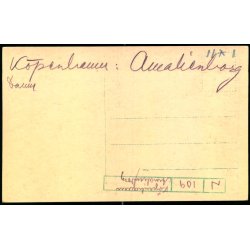 K�benhavn - Udsigt over Amalienborg - Stender 171