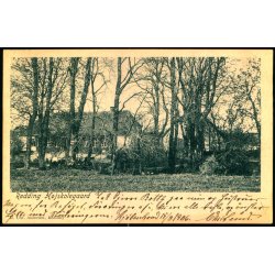 R�dding H�jskolegaard - H. Chr. Andersen u/n - Brugt