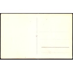 S�nderborg - Slot - Fotokort u/n - Ubrugt