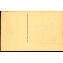 Saxk�bing - S�ndergade - Thaaning Steffensens Bogh. 38993 - Ubrugt