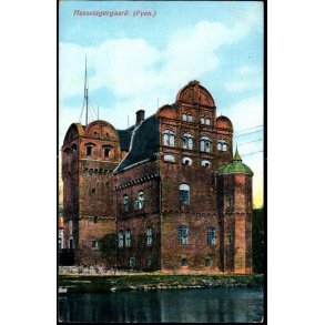 Hesselagergaard (Fyen) - C. Eneret 239 - Ubrugt