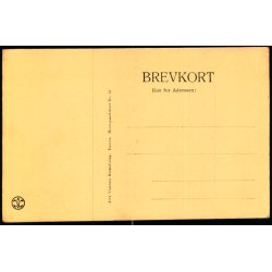 Rygaard (Fyen) - Alex Vincent 63 - Ubrugt