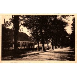 Slagelse - Slotsalleen med Liselund - Stender S. 29 - Ubrugt