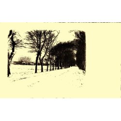 Slagelse set fra Slotsalleen - Stender eneret - Brugt