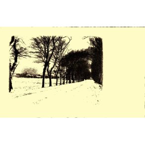 Slagelse set fra Slotsalleen - Stender eneret - Brugt