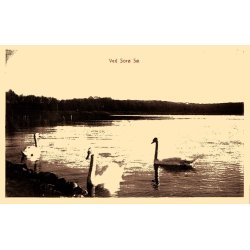 Ved Sor S - Svegrds 31 - Ubrugt