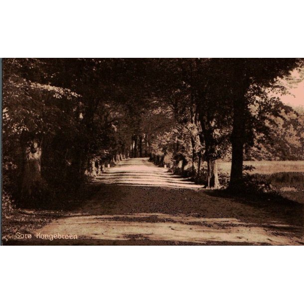 Sor - Kongebroen - Svegrds 33 - Ubrugt