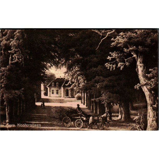 Sor Klosteralleen - Svegrd 41 - Ubrugt