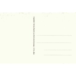 Hilsen fra R�rvig - R�rvig Handel u/ - Ubrugt