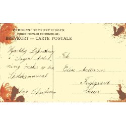 Wilhelmshaab - Fotokort - Holbk - u/n - Ubrugt - Har vret klbet op !