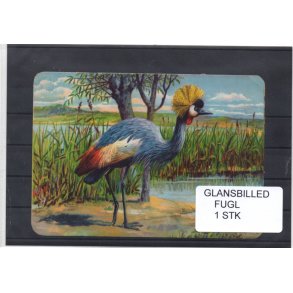 Glansbilleder - Fugl - 1 Stk. 
