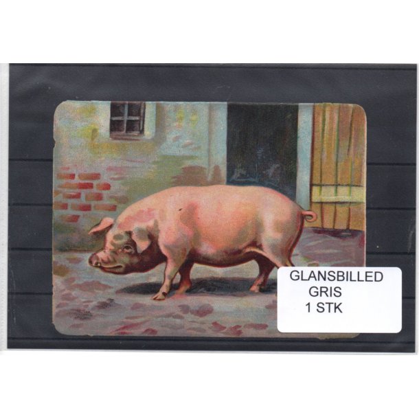 Glansbilleder - Gris - 1 Stk. 