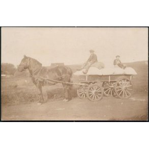 Fotokort Ukendt - Hestevogn ? Ubrugt