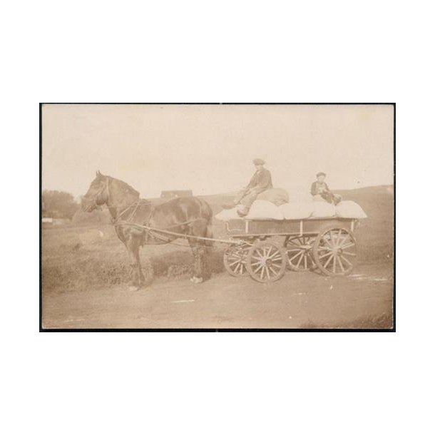 Fotokort Ukendt - Hestevogn ? Ubrugt