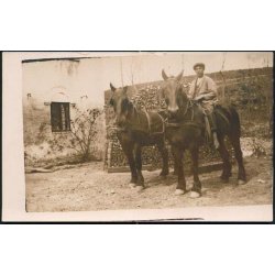 Fotokort Ukendt - Mine heste ? Ubrugt