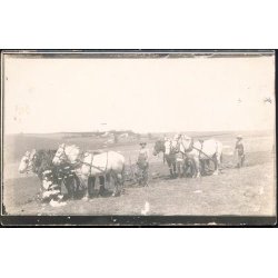 Fotokort Ukendt - Der pl&oslash;jes ? Ubrugt