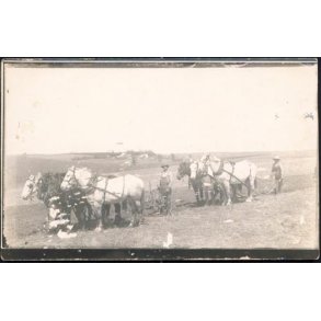 Fotokort Ukendt - Der pl&oslash;jes ? Ubrugt