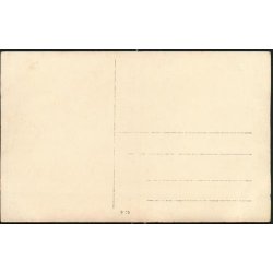 Fotokort Ukendt - Tyren ? - Ubrugt