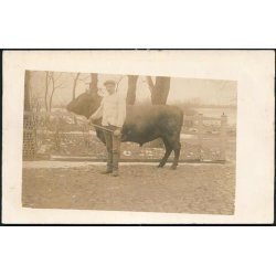 Fotokort Ukendt - Tyren ? - Ubrugt