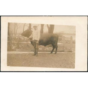 Fotokort Ukendt - Tyren ? - Ubrugt