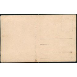 Fotokort Ukendt - Guldbrudepar ? - Ubrugt