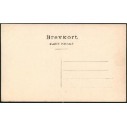 Fotokort Ukendt - Familien ? Ubrugt