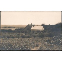 Fotokort Ukendt - G&aring;rden ? Ubrugt