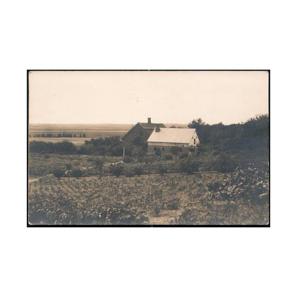 Fotokort Ukendt - G&aring;rden ? Ubrugt