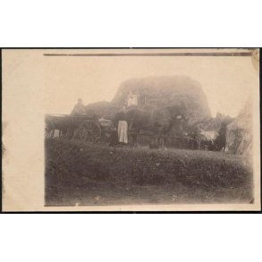 Fotokort Ukendt - I Marken ? Ubrugt