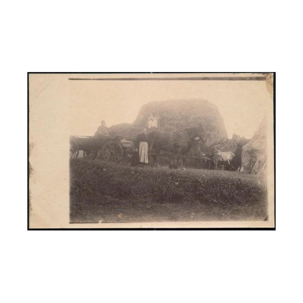 Fotokort Ukendt - I Marken ? Ubrugt