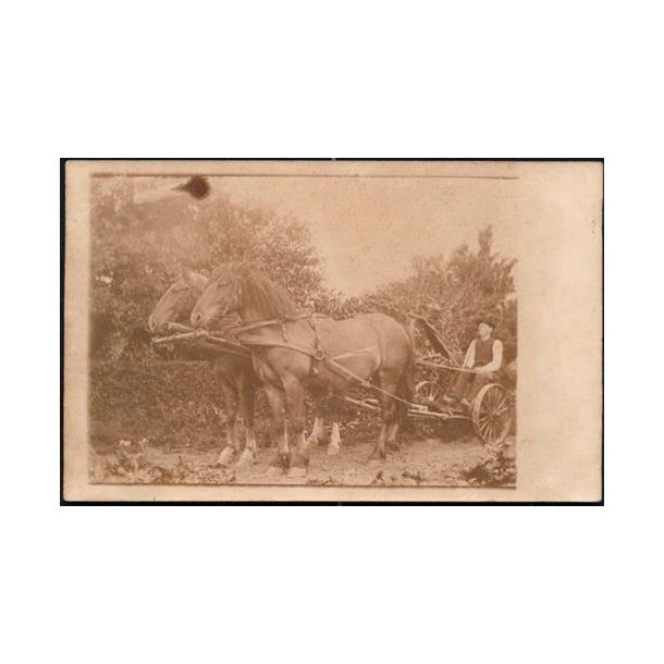 Fotokort Ukendt - I Marken ? Ubrugt