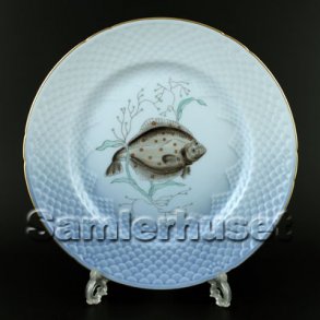 Måge Fisketallerken Rødspætte