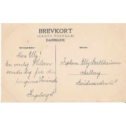 Kong Christian IX. Srgekort. A.V.520 -