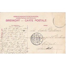 Kong Christian IX. Srgekort. St. 4990. Brugt.